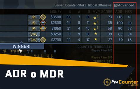 csgo estadísticas.